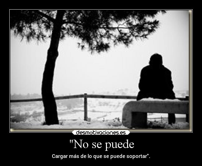 No se puede - Cargar más de lo que se puede soportar.