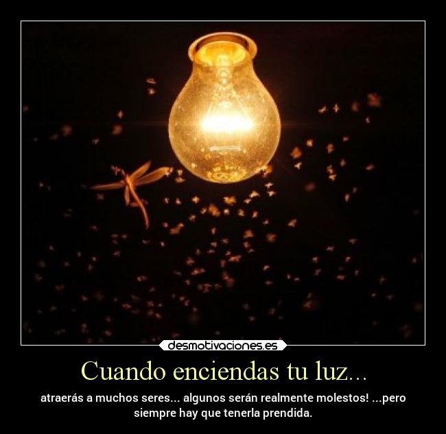 carteles libertad desmotivaciones