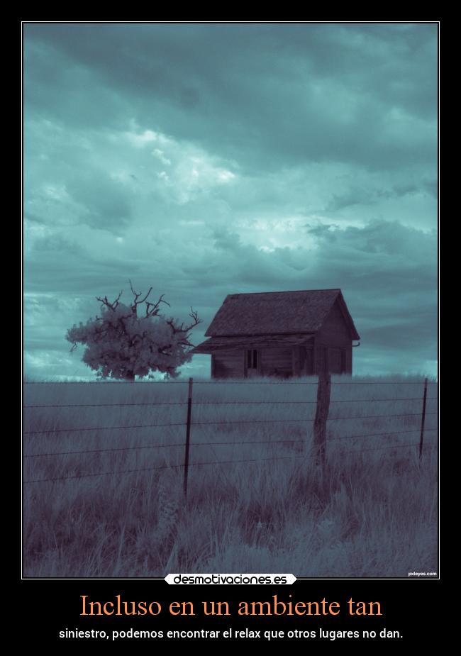 carteles muerte desmotivaciones