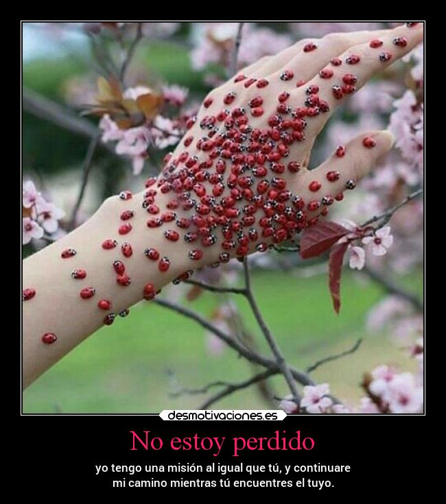 No estoy perdido - yo tengo una misión al igual que tú, y continuare
mi camino mientras tú encuentres el tuyo.