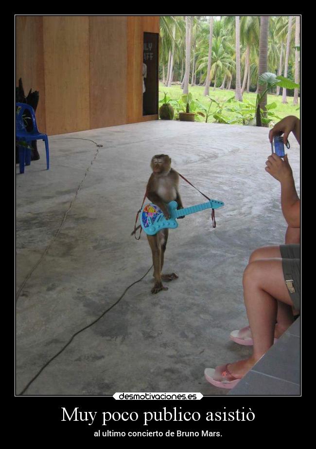 Muy poco publico asistiò -