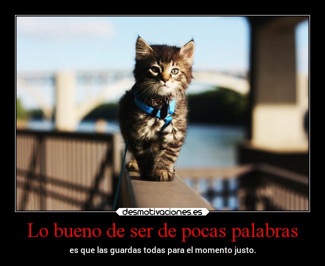 Lo bueno de ser de pocas palabras -