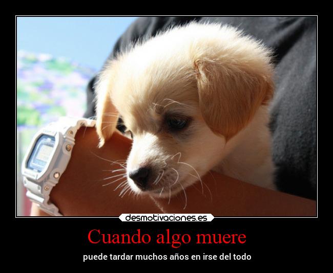 carteles pensamientos bbjdfs desdeunrincondeestemundoquesecaeapedazos desmotivaciones