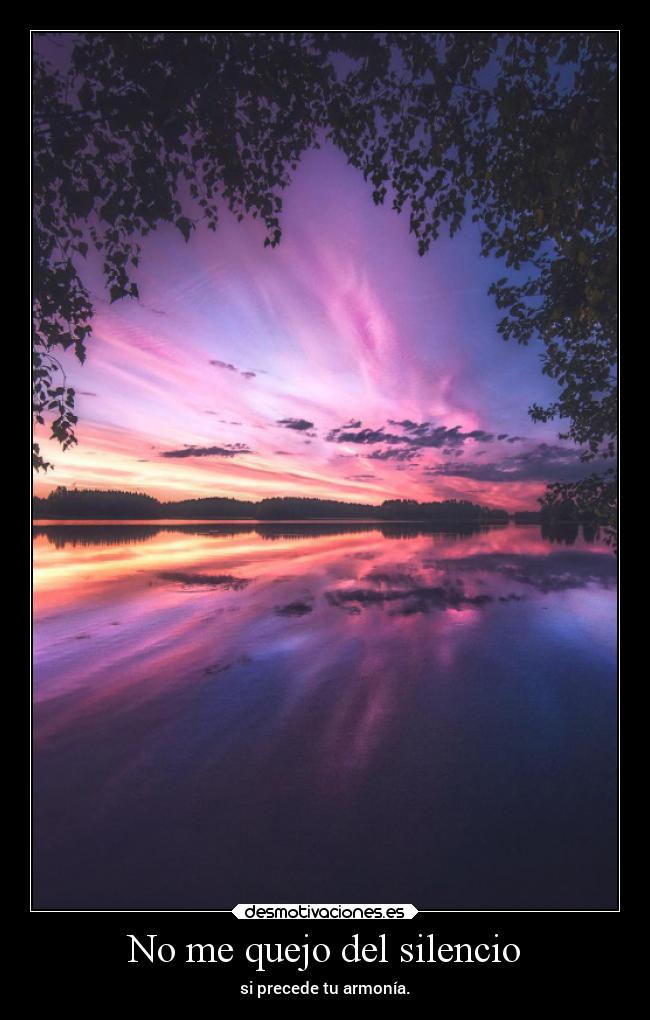 No me quejo del silencio -