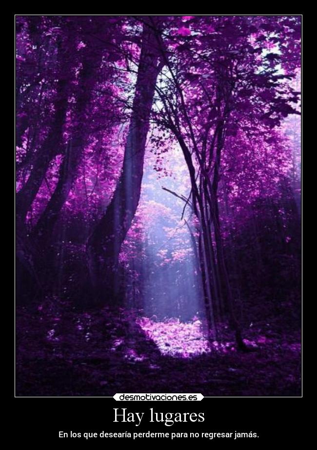 Hay lugares - En los que desearía perderme para no regresar jamás.