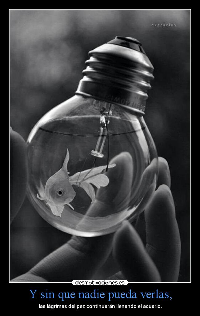 Y sin que nadie pueda verlas, - las lágrimas del pez continuarán llenando el acuario.