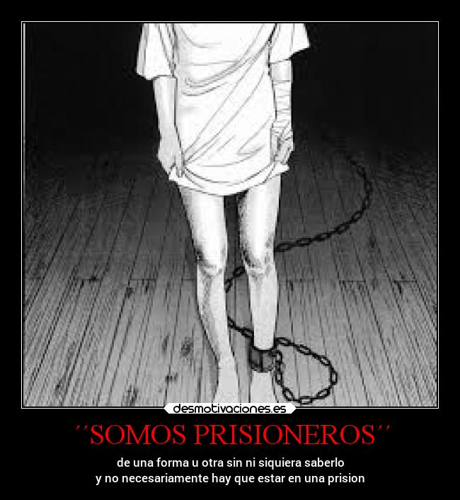 carteles vida anime destino locosdeamor prisionero laalianzarebelde mdsm desmotivaciones