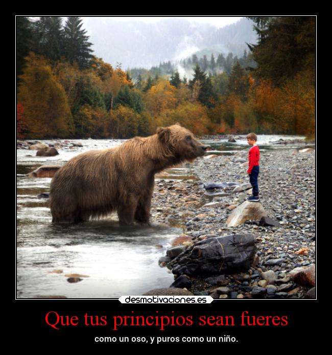Que tus principios sean fueres - 