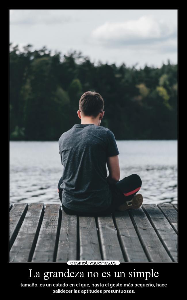 carteles vida clandesplazado souunidiotatm manada32 projectd desmotivaciones