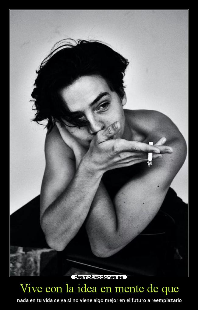 carteles vida colesprouse guapooooo desmotivaciones