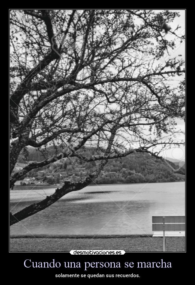 carteles vida frases soledad tiempos alex vazquez999 eternalblue desmotivaciones