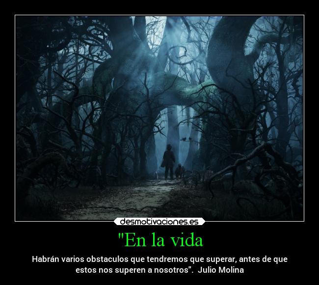 En la vida - Habrán varios obstaculos que tendremos que superar, antes de que
estos nos superen a nosotros. Julio Molina