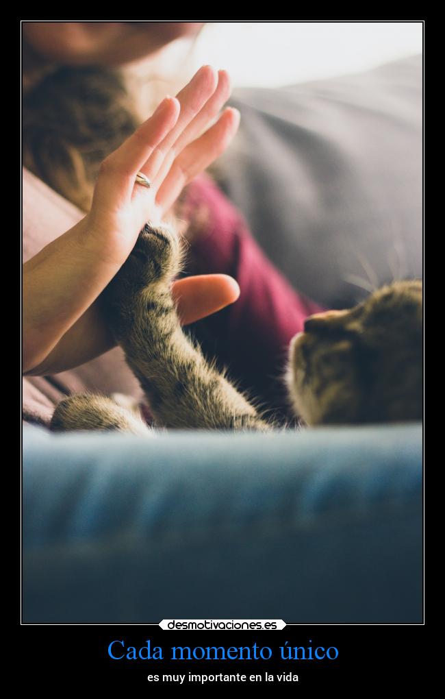 Cada momento único - es muy importante en la vida