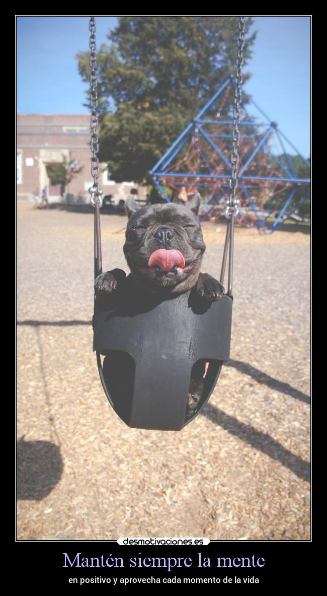 Mantén siempre la mente - en positivo y aprovecha cada momento de la vida