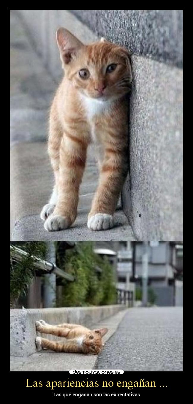Las apariencias no engañan ... - 