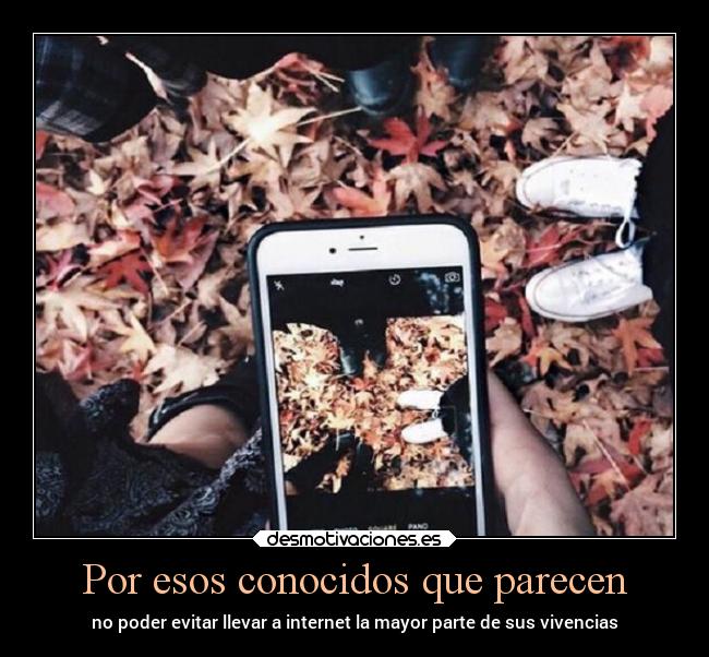 carteles vida internet vivencias fotos mipropiouniverso desmotivaciones