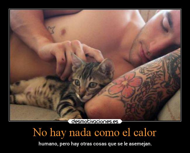 No hay nada como el calor - 