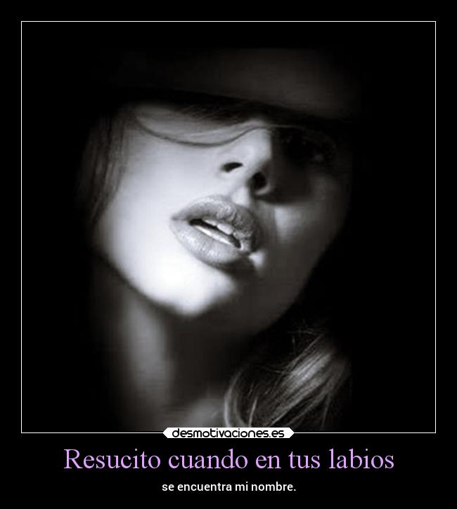 carteles vida unailusion eleternoretorno desmotivaciones