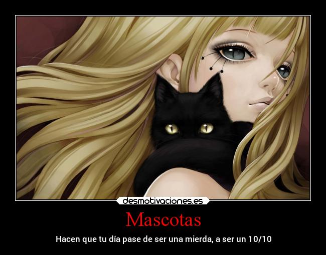 Mascotas - Hacen que tu día pase de ser una mierda, a ser un 10/10