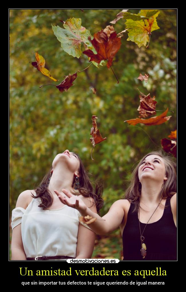 Un amistad verdadera es aquella - que sin importar tus defectos te sigue queriendo de igual manera