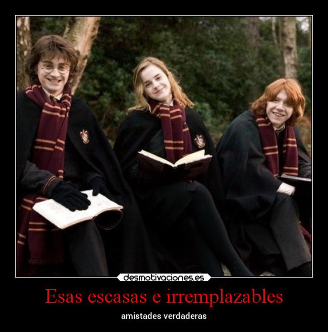 Esas escasas e irremplazables - 