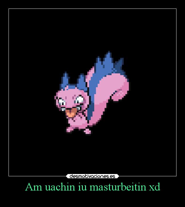 carteles amor mierda pollas desmotivaciones