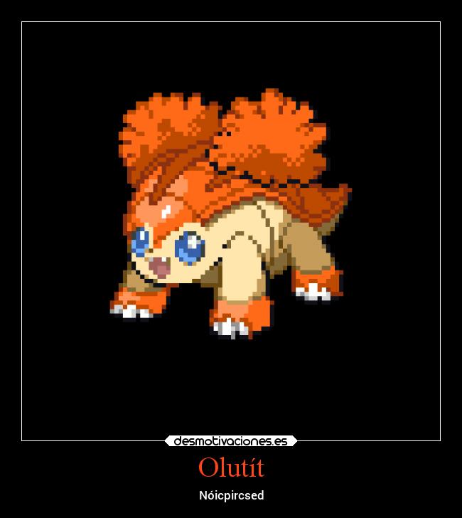 carteles amor mierda pollas desmotivaciones