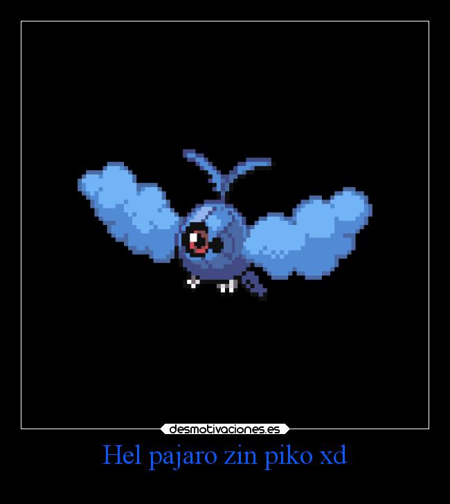 carteles amor mierda pollas desmotivaciones