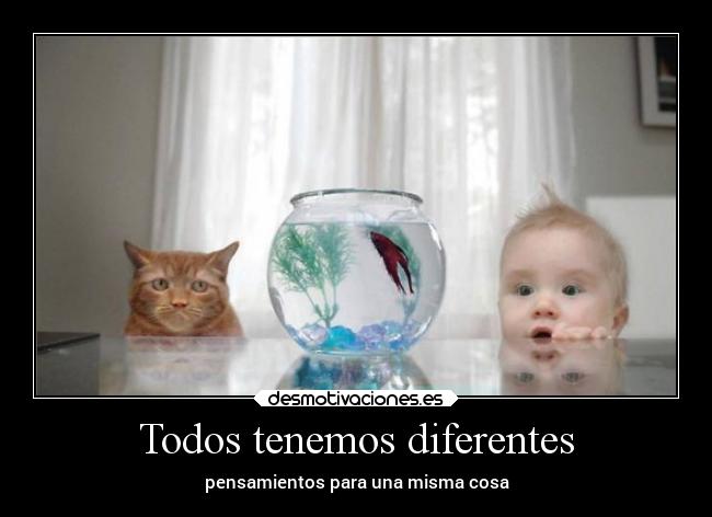 Todos tenemos diferentes -