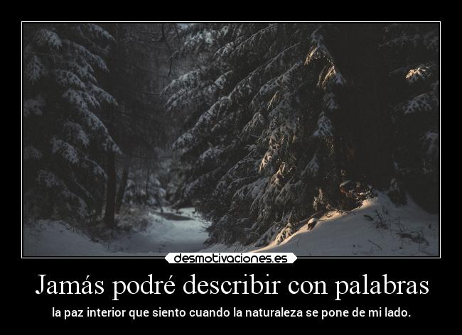 carteles anime inviernito poder descriptivo palabrejas bosquecito nevadete silenciamen profundo interior desmotivaciones