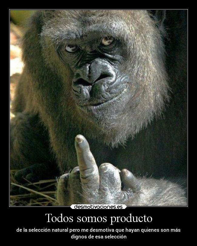 Todos somos producto - de la selección natural pero me desmotiva que hayan quienes son más
dignos de esa selección