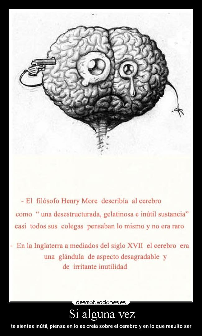 Si alguna vez - te sientes inútil, piensa en lo se creía sobre el cerebro y en lo que resulto ser