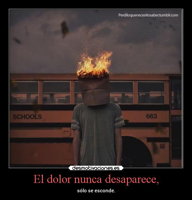 El dolor nunca desaparece, - sólo se esconde.