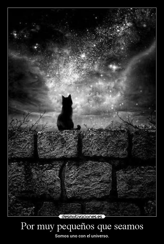 Por muy pequeños que seamos - Somos uno con el universo.