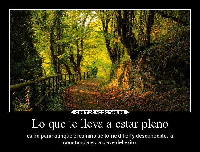 Lo que te lleva a estar pleno - es no parar aunque el camino se torne difícil y desconocido, la
constancia es la clave del éxito.