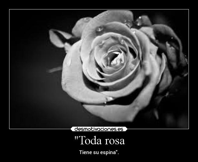 Toda rosa - Tiene su espina.