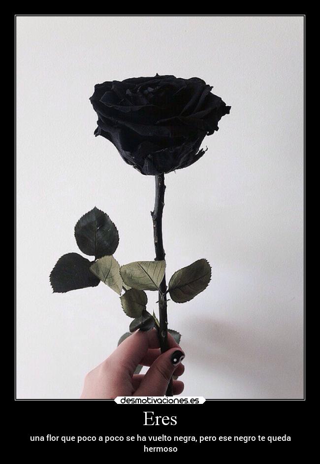 Eres - una flor que poco a poco se ha vuelto negra, pero ese negro te queda
hermoso