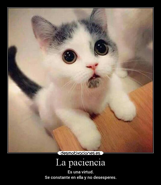 La paciencia - Es una virtud.
Se constante en ella y no desesperes.