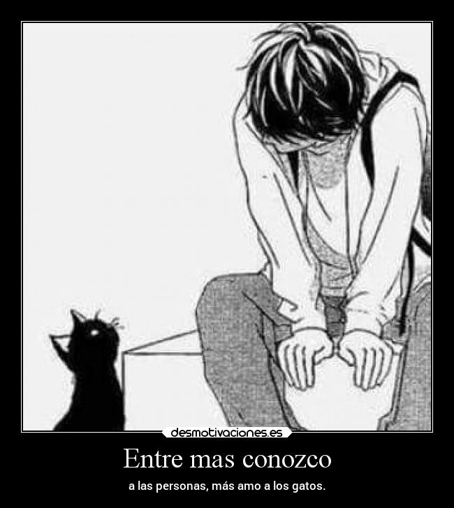 carteles gatos desmotivaciones