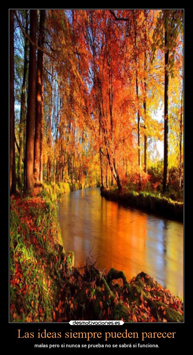 Las ideas siempre pueden parecer -