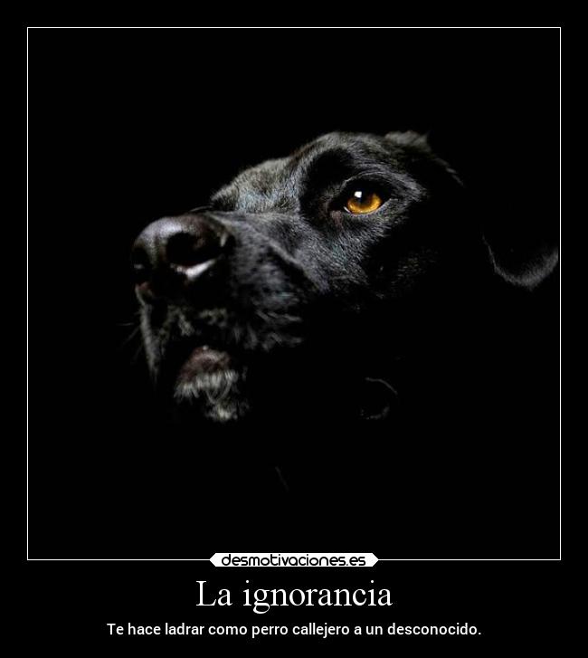 La ignorancia - Te hace ladrar como perro callejero a un desconocido.