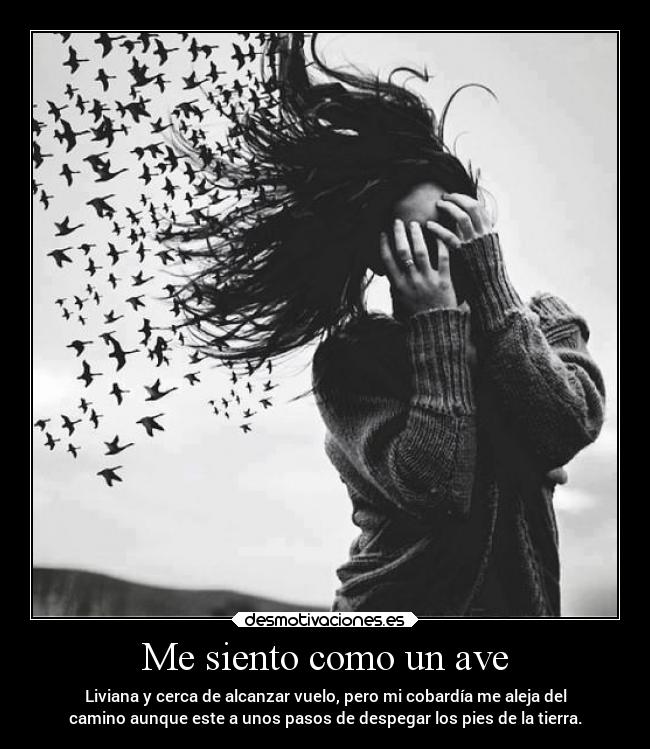 Me siento como un ave - Liviana y cerca de alcanzar vuelo, pero mi cobardía me aleja del
camino aunque este a unos pasos de despegar los pies de la tierra.