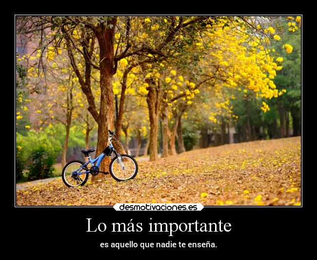 Lo más importante -