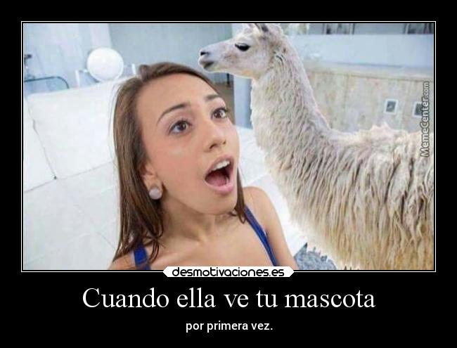 carteles mujer sexo comida desmotivaciones