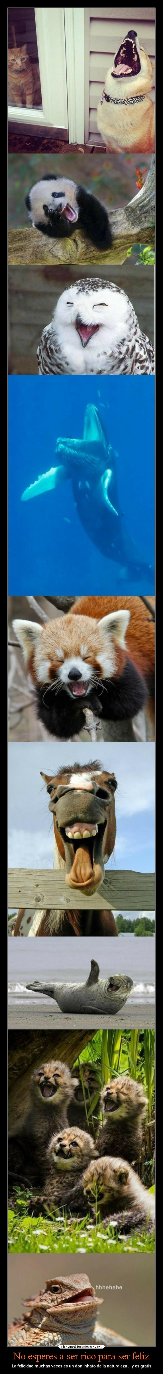 No esperes a ser rico para ser feliz -