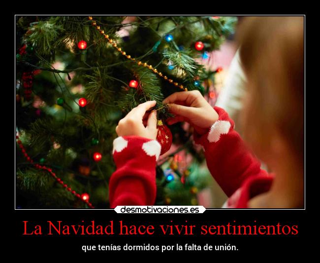 La Navidad hace vivir sentimientos -