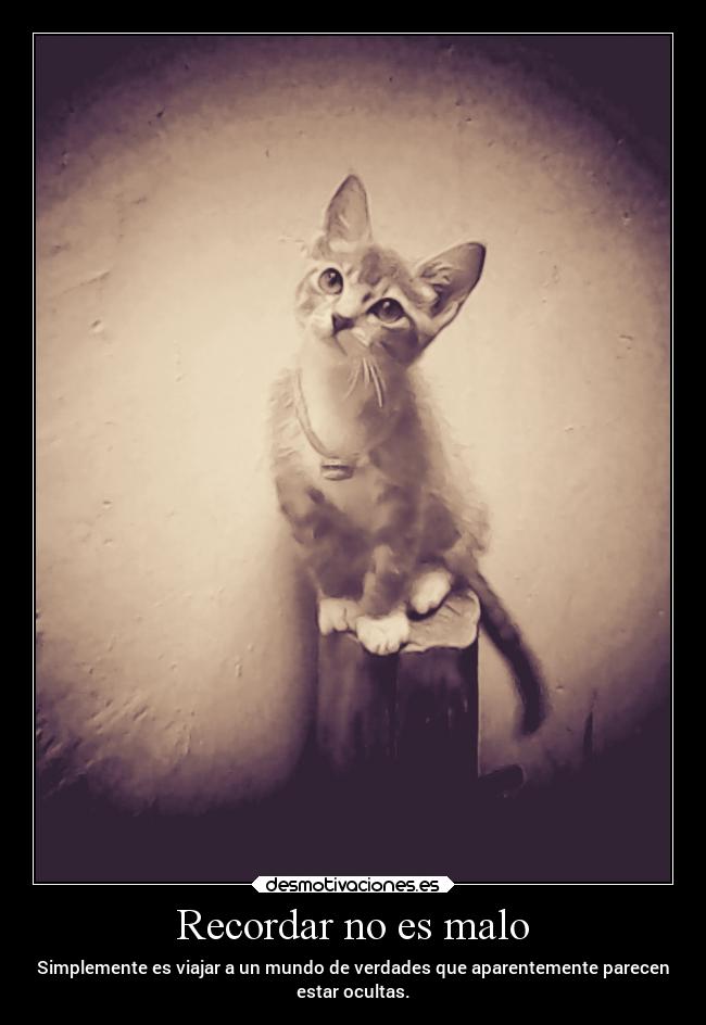 Recordar no es malo - Simplemente es viajar a un mundo de verdades que aparentemente parecen
estar ocultas.