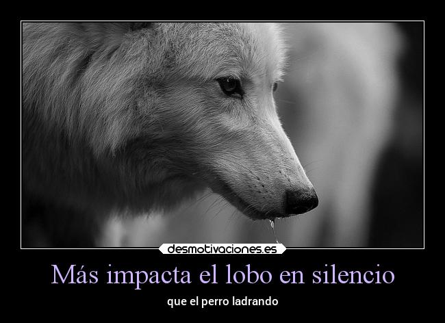 Más impacta el lobo en silencio - que el perro ladrando