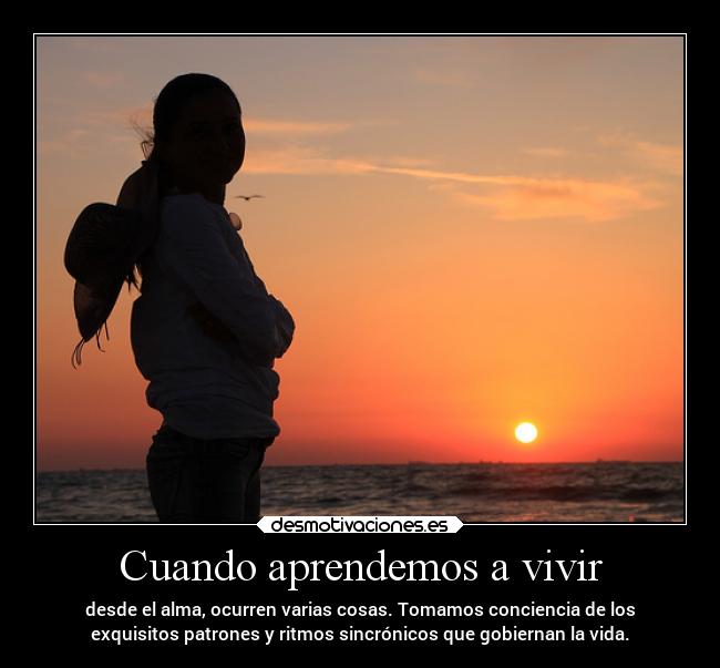 carteles vida alma frases desmotivaciones