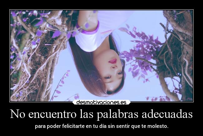 No encuentro las palabras adecuadas -